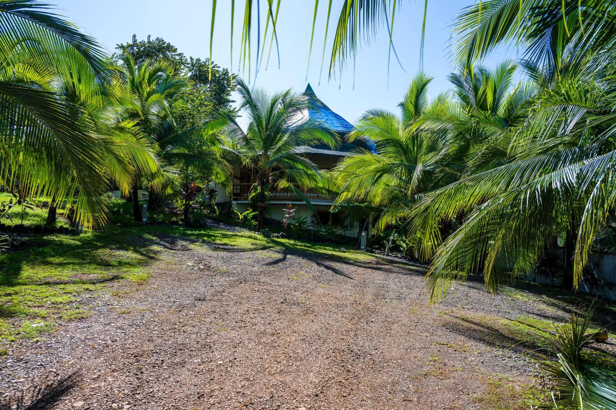 Eco-Lodge Deseo Bamboo Santa Catalina Eksteriør bilde