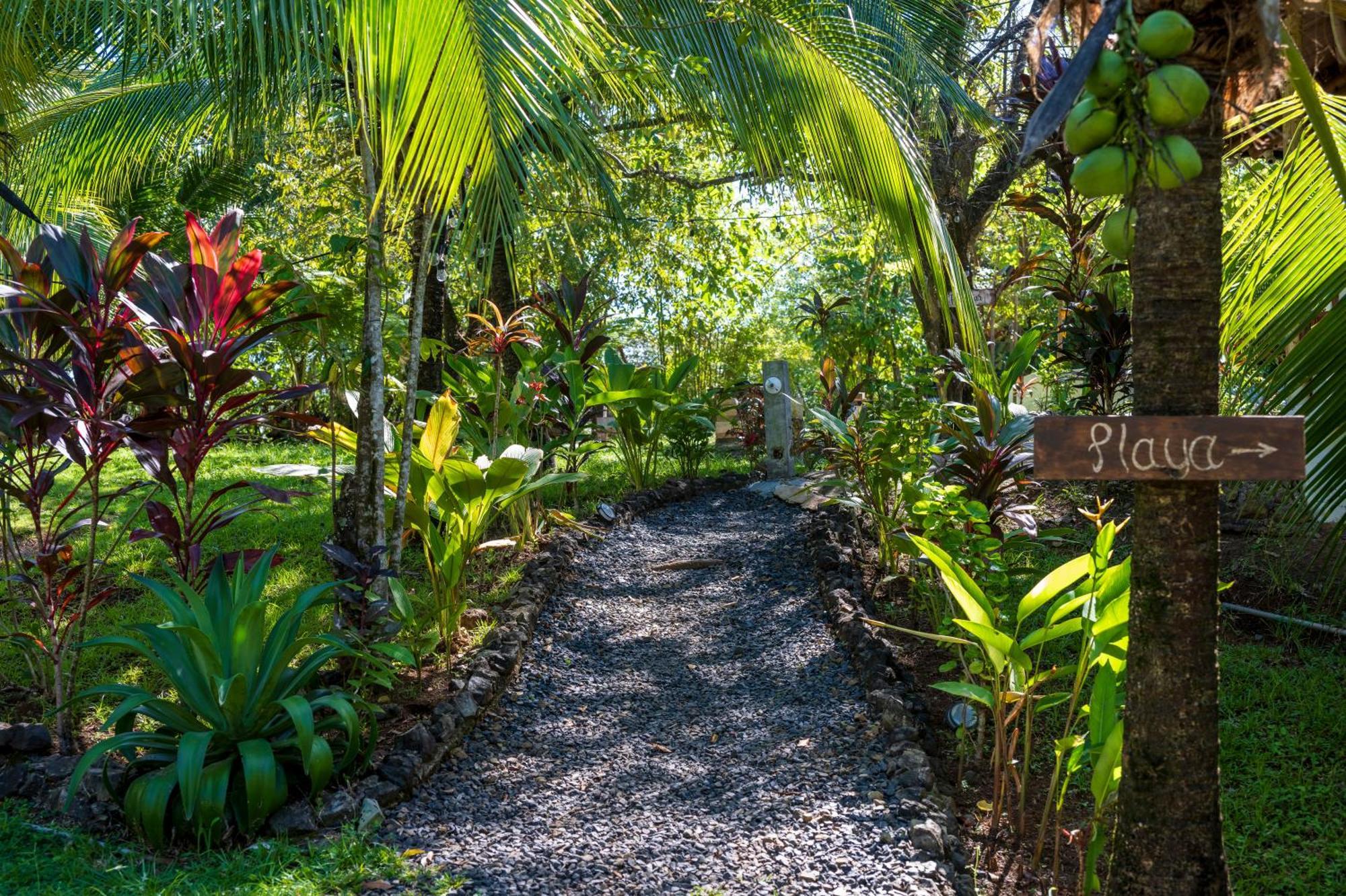 Eco-Lodge Deseo Bamboo Santa Catalina Eksteriør bilde