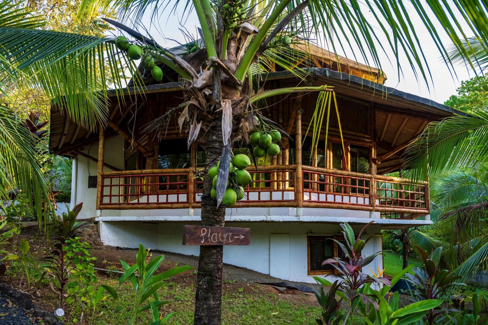 Eco-Lodge Deseo Bamboo Santa Catalina Eksteriør bilde