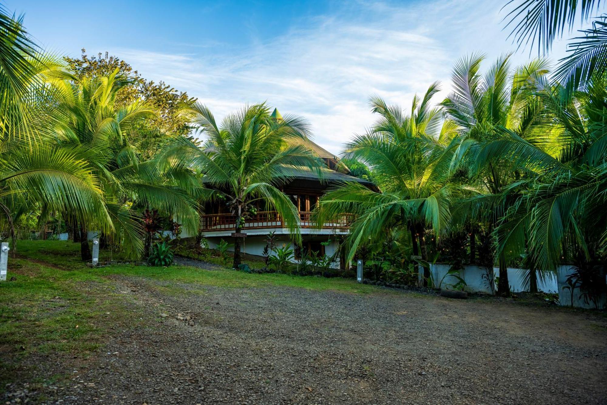 Eco-Lodge Deseo Bamboo Santa Catalina Eksteriør bilde